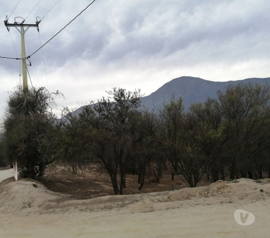 Parcelas en Venta Quillota Hijuelas - Fotos de TERRENO EN PENDIENTE SUAVE, OASIS DE LA CAMPANA