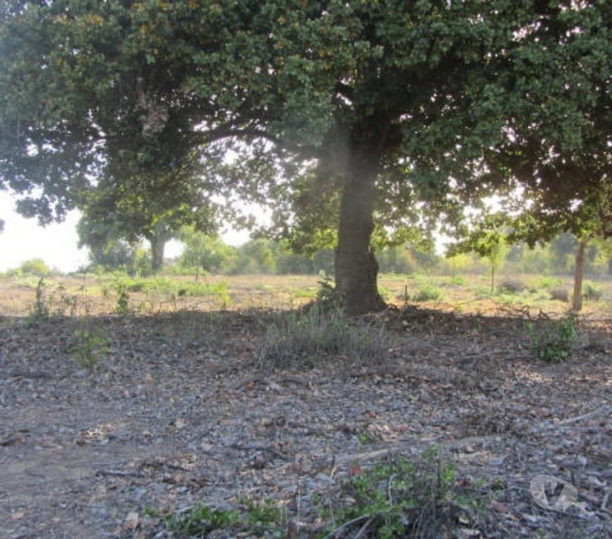 Parcelas en Venta Valparaíso Quintero - Fotos de PARCELA SECTOR EXCLUSIVO VALLE ALEGRE