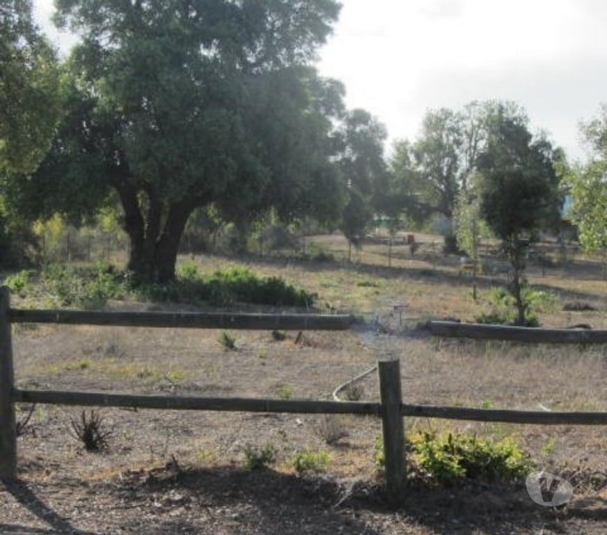 Parcelas en Venta Valparaíso Quintero - Fotos de PARCELA SECTOR EXCLUSIVO VALLE ALEGRE