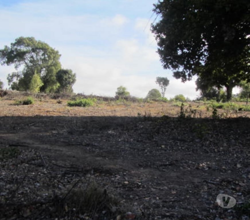 Parcelas en Venta Valparaíso Quintero - Fotos de PARCELA SECTOR EXCLUSIVO VALLE ALEGRE