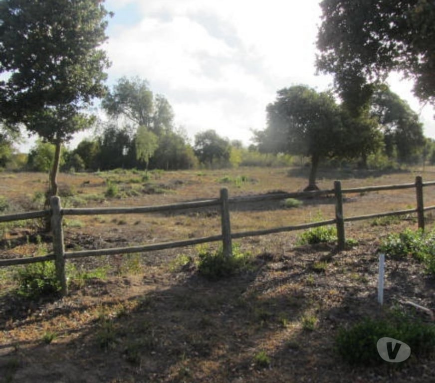 Parcelas en Venta Valparaíso Quintero - Fotos de PARCELA SECTOR EXCLUSIVO VALLE ALEGRE