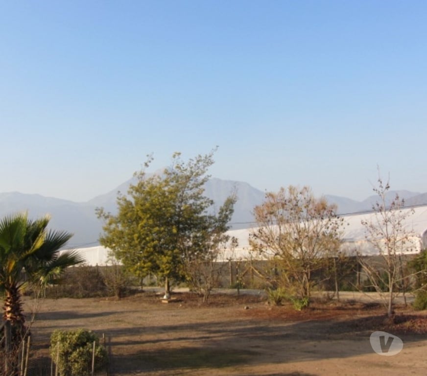 Parcelas en Venta Quillota Olmué - Fotos de PARCELA PLANA SECTOR LAS CRUCES OLMUE