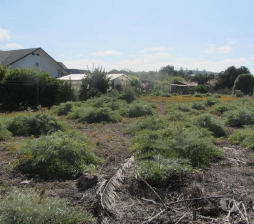 Parcelas en Venta Valparaíso Quintero - Fotos de PARCELA PLANA SECTOR VALLE DEL ESTERO QUINTERO