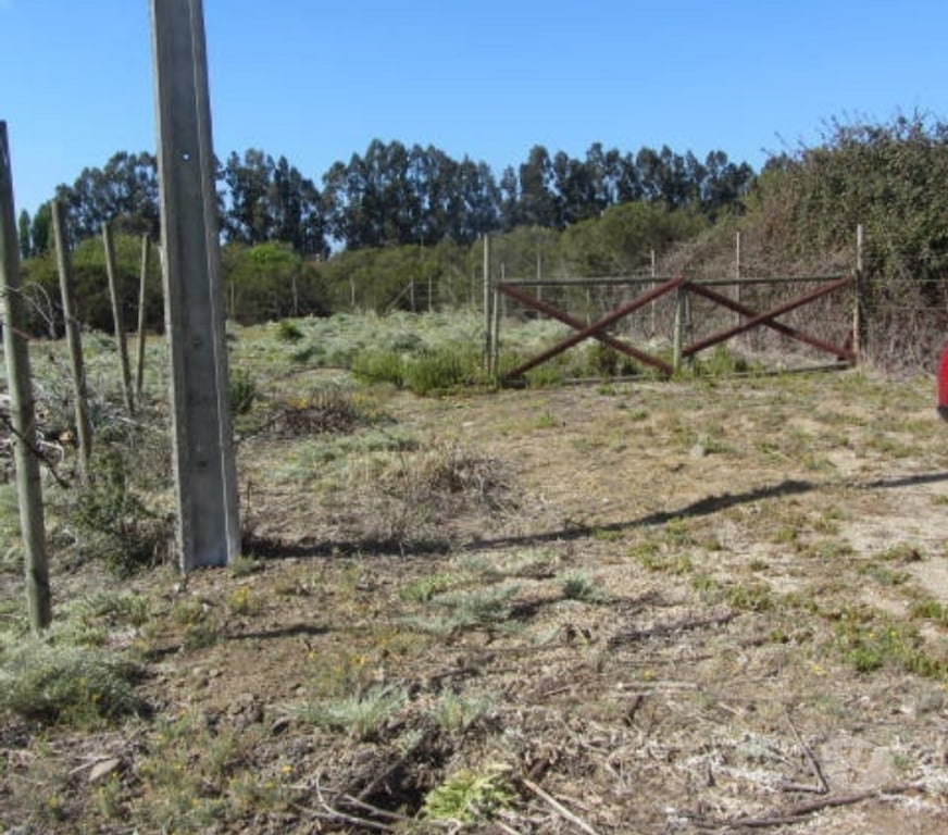 Parcelas en Venta Valparaíso Quintero - Fotos de PARCELA PLANA SECTOR VALLE DEL ESTERO QUINTERO