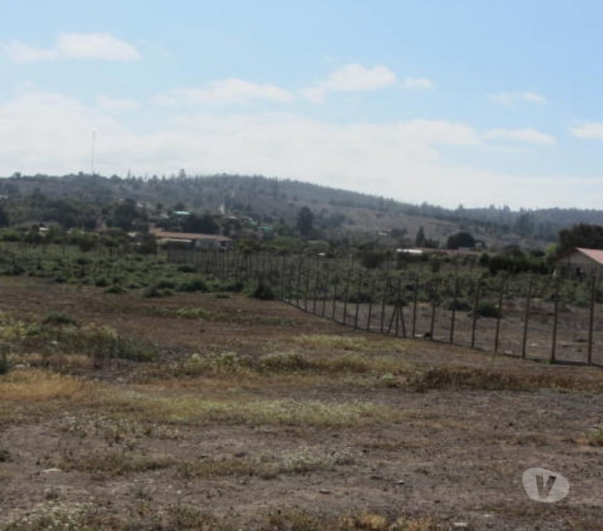 Parcelas en Venta Valparaíso Quintero - Fotos de PARCELA DE AGRADO CON CABAÑA SECTOR VALLE DEL ESTERO