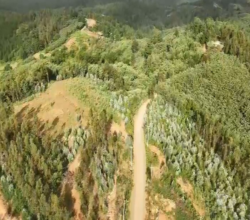 Parcelas en Venta Concepción Hualqui - Fotos de A 15 minutos Centro de Hualqui, con fácil acceso.