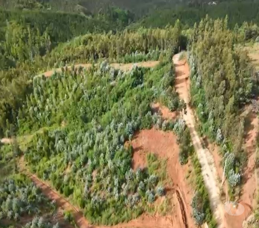 Parcelas en Venta Concepción Hualqui - Fotos de A 15 minutos Centro de Hualqui, con fácil acceso.