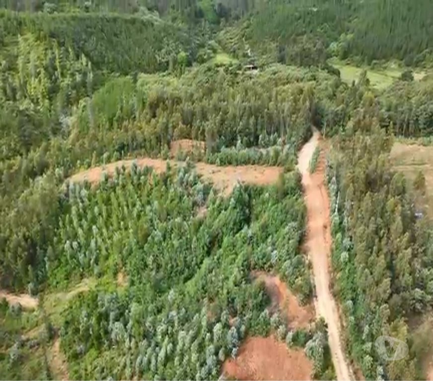 Parcelas en Venta Concepción Hualqui - Fotos de A 15 minutos Centro de Hualqui, con fácil acceso.