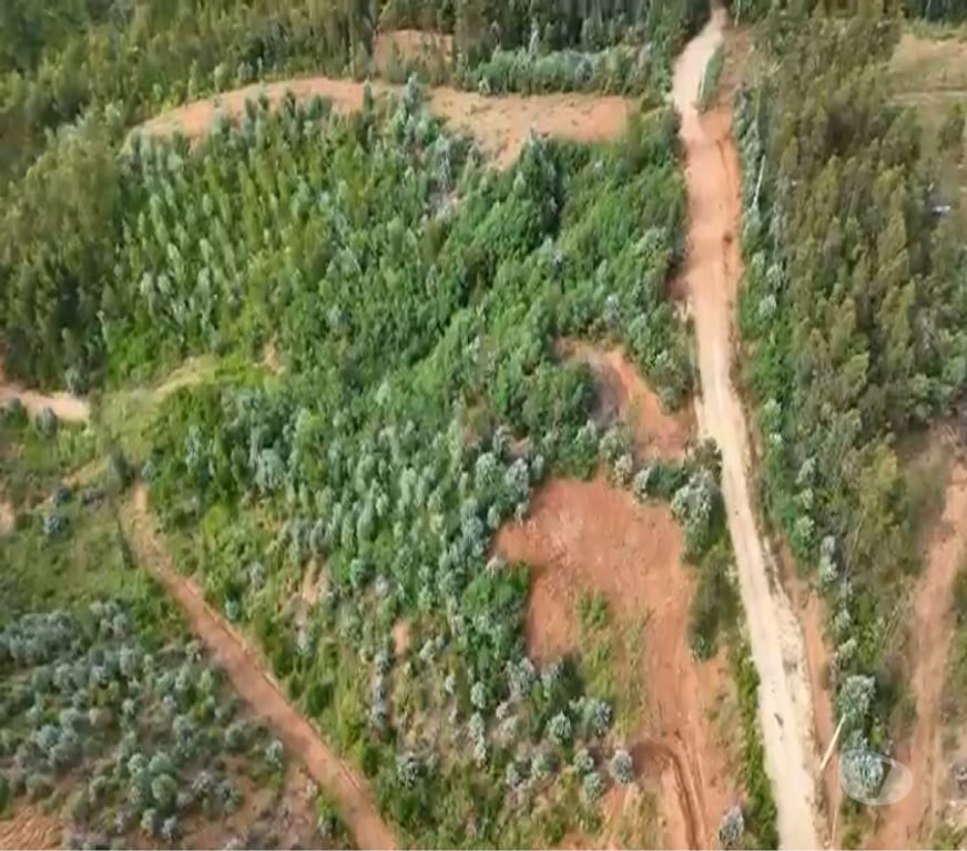 Parcelas en Venta Concepción Hualqui - Fotos de A 15 minutos Centro de Hualqui, con fácil acceso.