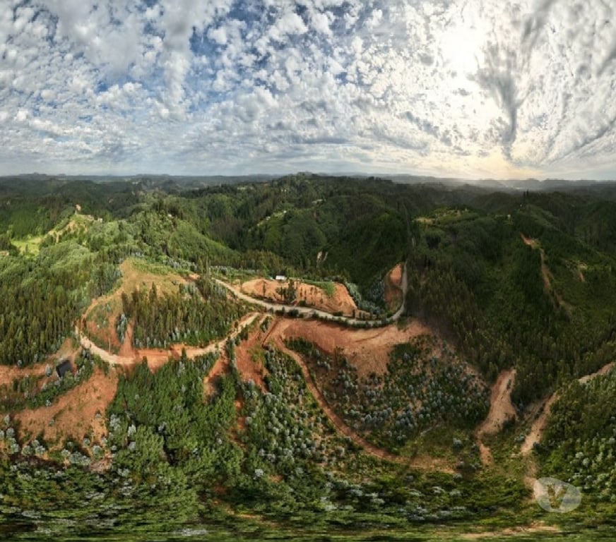 Parcelas en Venta Concepción Hualqui - Fotos de A 15 minutos Centro de Hualqui, con fácil acceso.