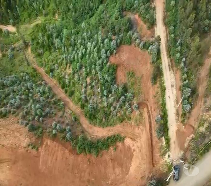 Parcelas en Venta Concepción Hualqui - Fotos de A 15 minutos Centro de Hualqui, con fácil acceso.