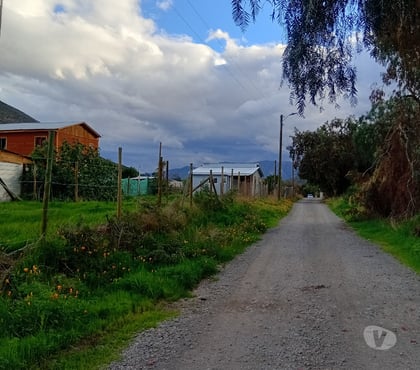 Escort Cabildo Petorca - Fotos de Gabita hola mis amores inviteme a salir