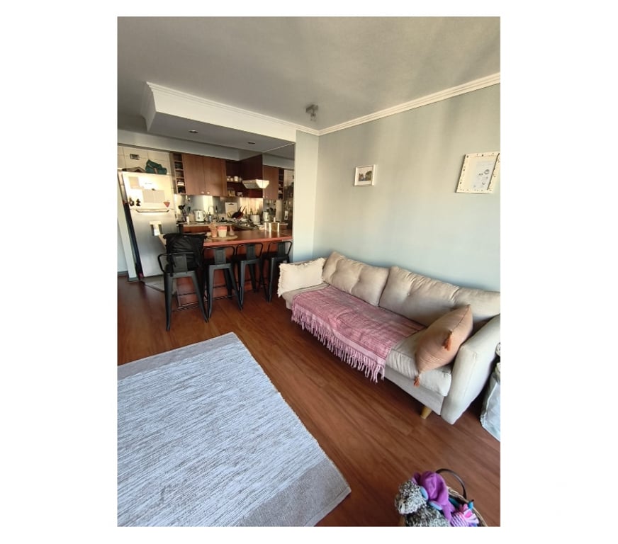 Bienes Raices Santiago Ñuñoa - Fotos de Departamento 1d 1b