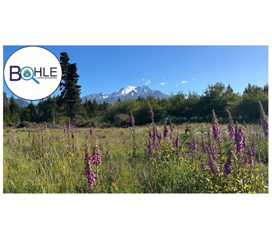 Parcelas en Venta Llanquihue Puerto Varas - Fotos de PARCELA ORILLA DE LAGO LLANQUIHUE EN ENSENADA