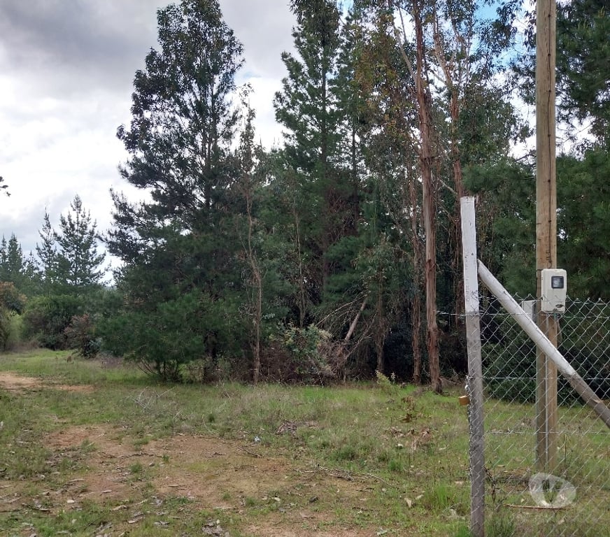 Parcelas en Venta Ñuble Bulnes - Fotos de Vendo Parcela 5000mt ROL Propio Santa Clara de Bulnes 19Mill