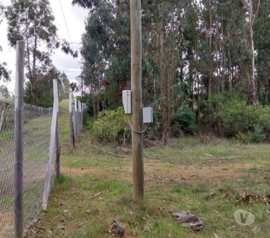 Parcelas en Venta Ñuble Bulnes - Fotos de Vendo Parcela 5000mt ROL Propio Santa Clara de Bulnes 19Mill