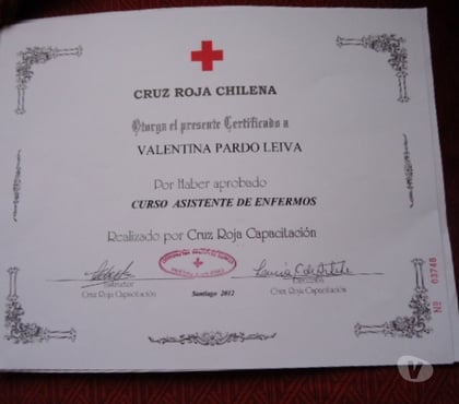 Cuidado Abuelos - Enfermos Viña del Mar Valparaíso - Fotos de Se ofrece asistente de enfermos Cruz Roja