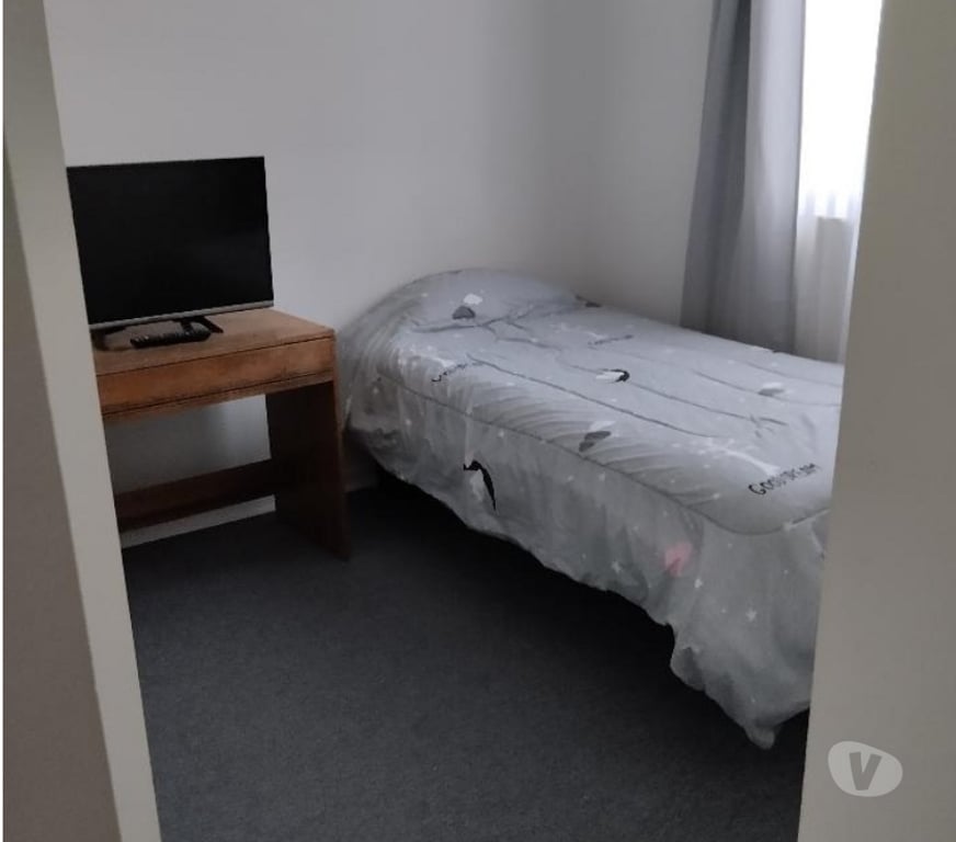 Arriendo de piezas San Felipe de Aconcagua San Felipe - Fotos de Arriendo habitación con baño privado en San Felipe