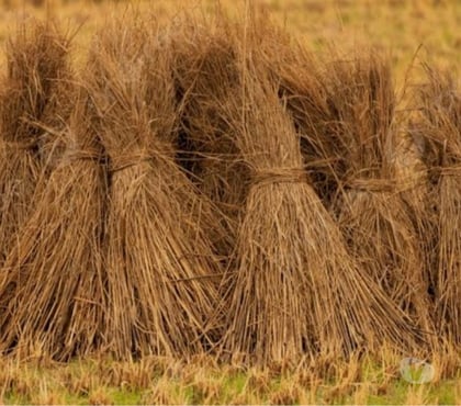 Encuentros Sexuales Santiago Santiago - Fotos de Paja PRESENCIAL entre HÉTEROS