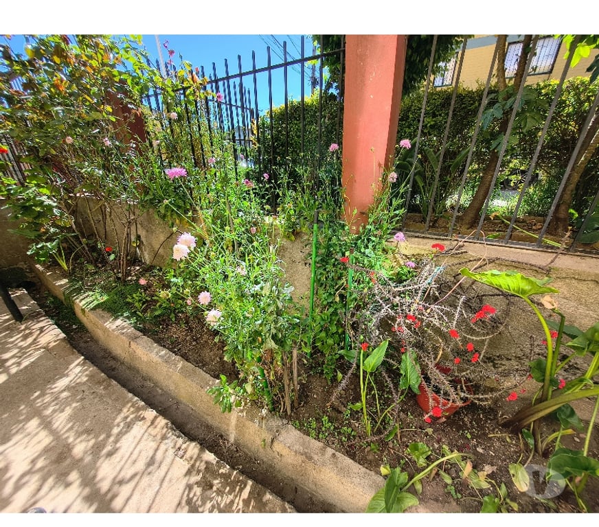 Arriendos Valparaíso Viña del Mar - Fotos de Depto año corrido Nueva Granadilla