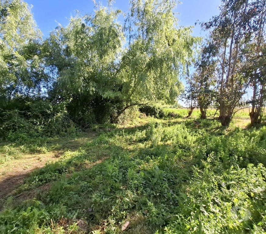 Parcelas en Venta Ñuble San Carlos - Fotos de EN VENTA PARCELAS SECTOR SANTA ROSA - NINQUIHUE