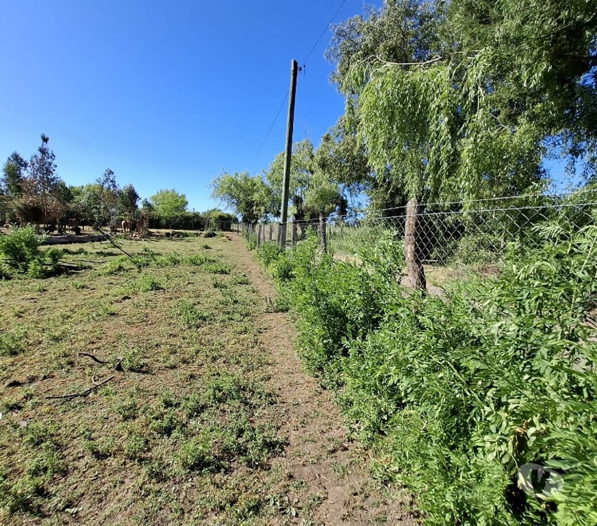 Parcelas en Venta Ñuble San Carlos - Fotos de EN VENTA PARCELAS SECTOR SANTA ROSA - NINQUIHUE