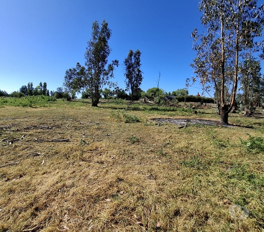 Parcelas en Venta Ñuble San Carlos - Fotos de EN VENTA PARCELAS SECTOR SANTA ROSA - NINQUIHUE