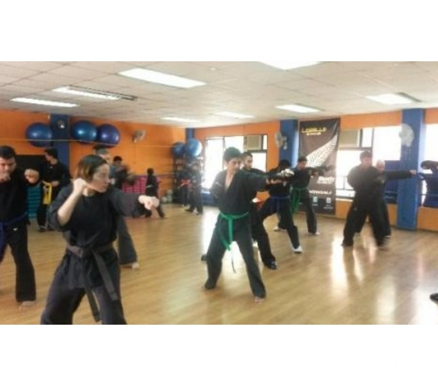 Otros Cursos Santiago Peñalolén - Fotos de Clase de Karate Americano y Kenpo KICKBOXING - Peñalolen
