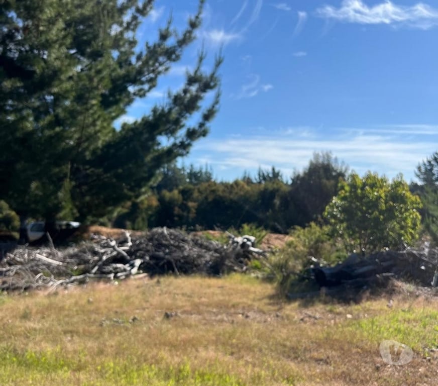Parcelas en Venta Cardenal Caro Pichilemu - Fotos de Terreno Lo Gallardo Pichilemu