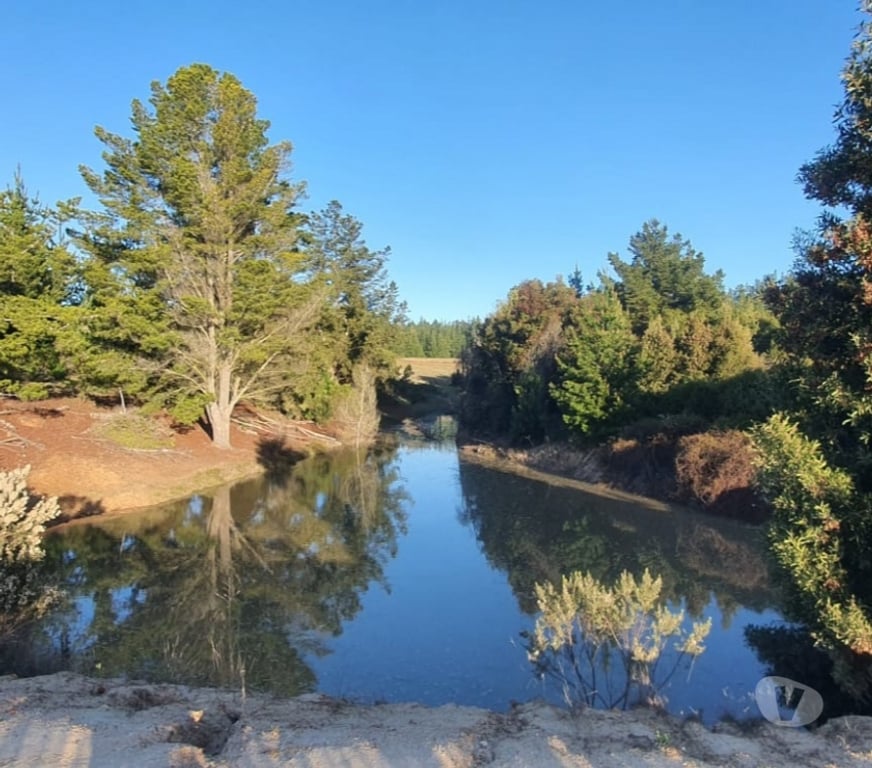Parcelas en Venta Cardenal Caro Pichilemu - Fotos de Terreno Lo Gallardo Pichilemu