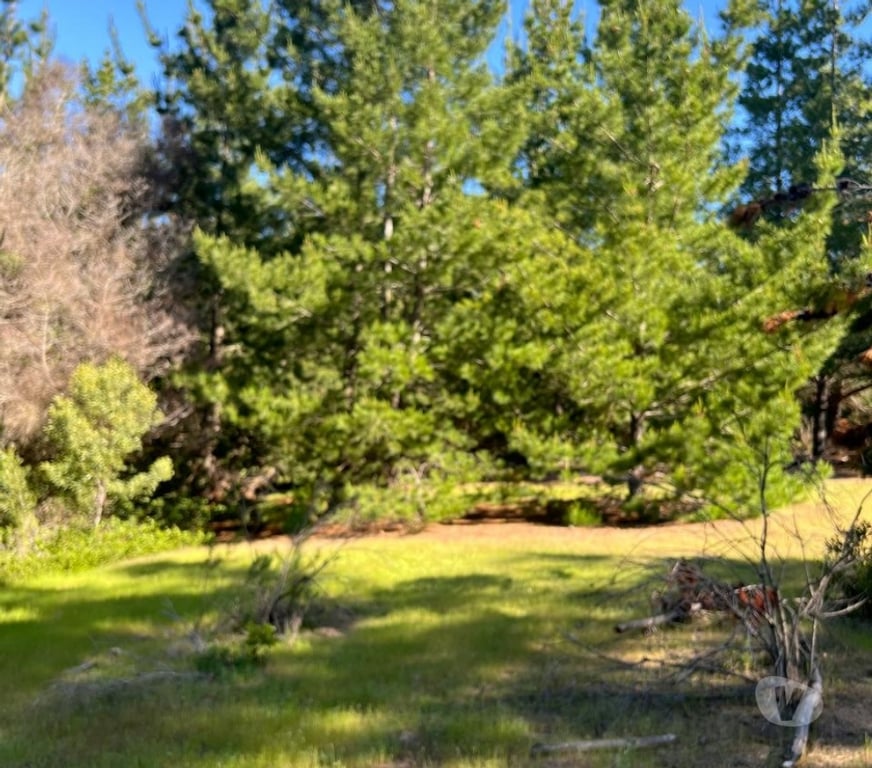 Parcelas en Venta Cardenal Caro Pichilemu - Fotos de Terreno Lo Gallardo Pichilemu