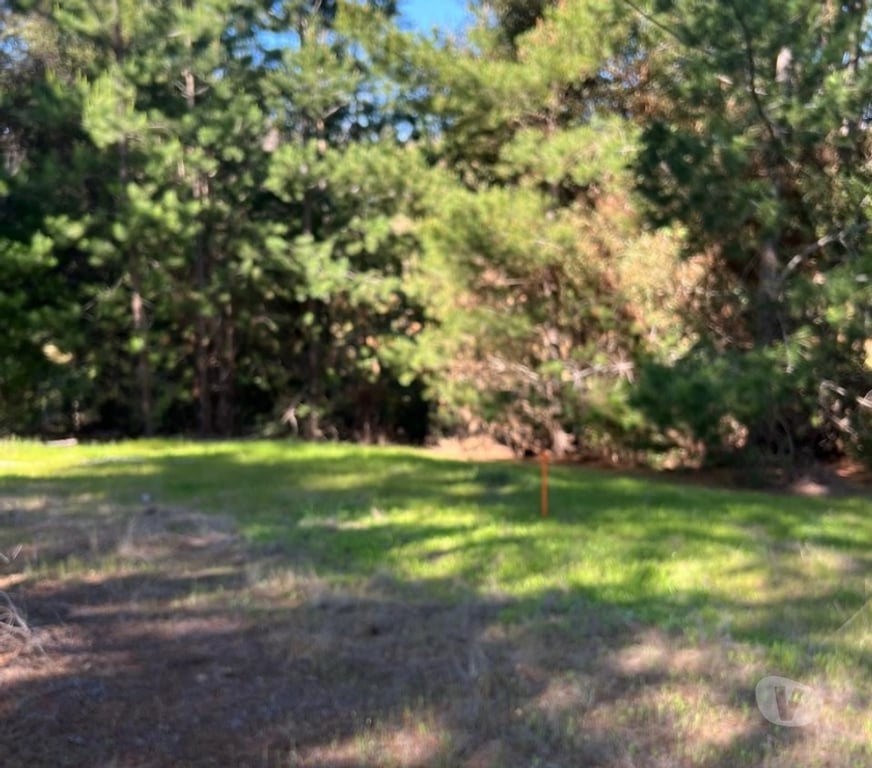 Parcelas en Venta Cardenal Caro Pichilemu - Fotos de Terreno Lo Gallardo Pichilemu