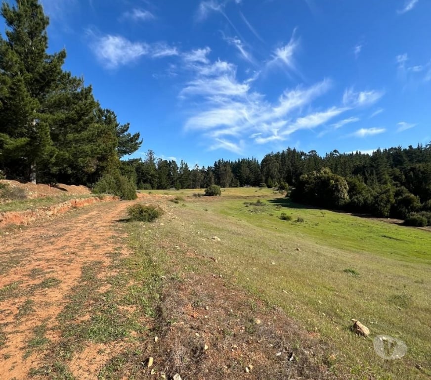 Parcelas en Venta Cardenal Caro Pichilemu - Fotos de Terreno Lo Gallardo Pichilemu