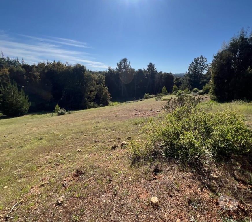 Parcelas en Venta Cardenal Caro Pichilemu - Fotos de Terreno Lo Gallardo Pichilemu