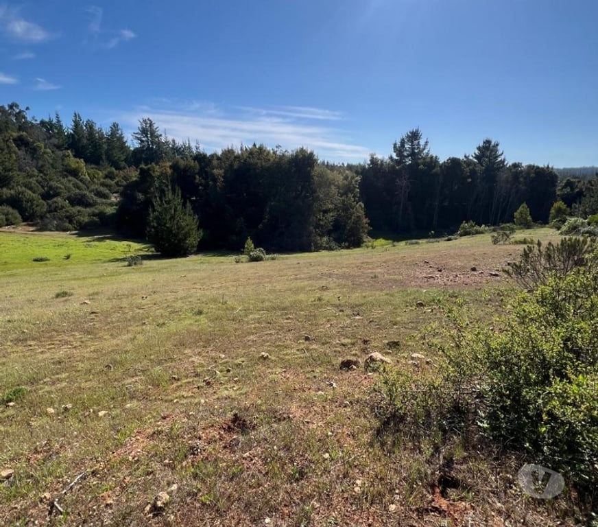 Parcelas en Venta Cardenal Caro Pichilemu - Fotos de Terreno Lo Gallardo Pichilemu