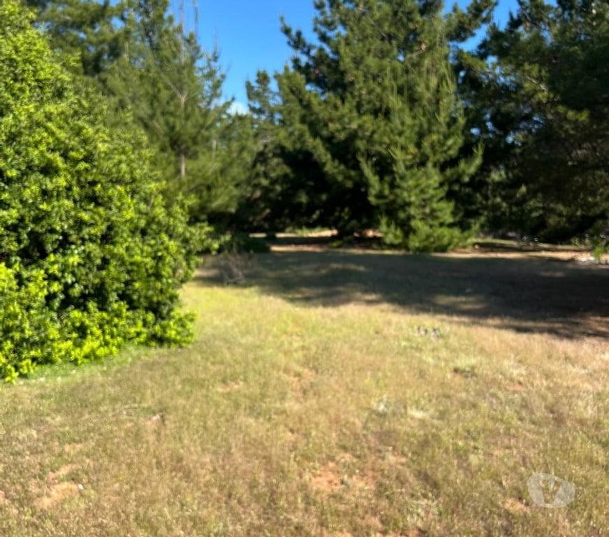 Parcelas en Venta Cardenal Caro Pichilemu - Fotos de Terreno Lo Gallardo Pichilemu