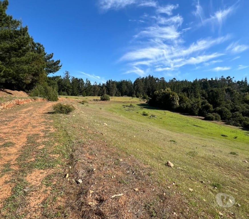 Parcelas en Venta Cardenal Caro Pichilemu - Fotos de Terreno Lo Gallardo Pichilemu