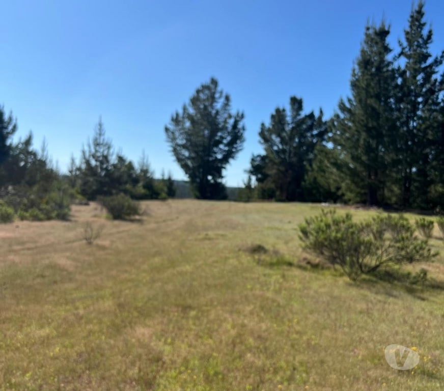 Parcelas en Venta Cardenal Caro Pichilemu - Fotos de Terreno Lo Gallardo Pichilemu