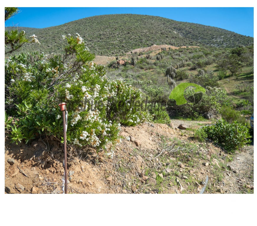 Parcelas en Venta Elqui La Serena - Fotos de Gran Parcela de 9.700 m² en Quilacán, La Serena