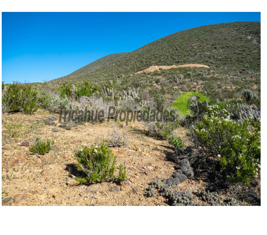 Parcelas en Venta Elqui La Serena - Fotos de Gran Parcela de 9.700 m² en Quilacán, La Serena