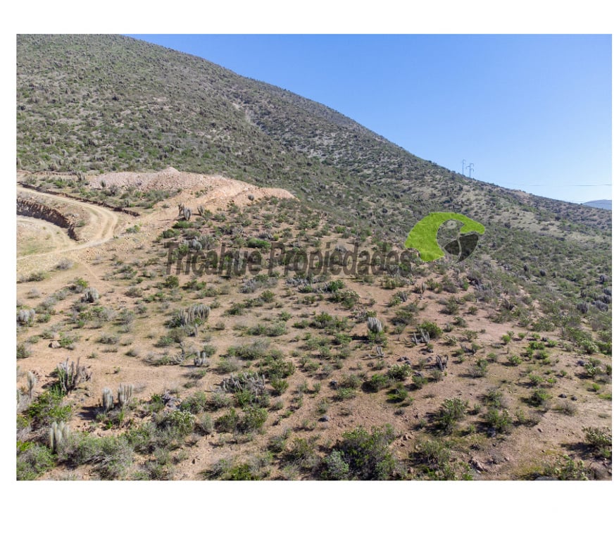 Parcelas en Venta Elqui La Serena - Fotos de Gran Parcela de 9.700 m² en Quilacán, La Serena