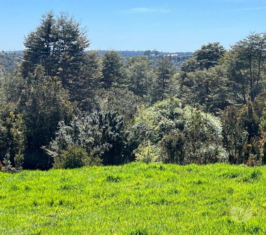 Parcelas en Venta Chiloé Ancud - Fotos de Venta de Parcelas en Chiloé