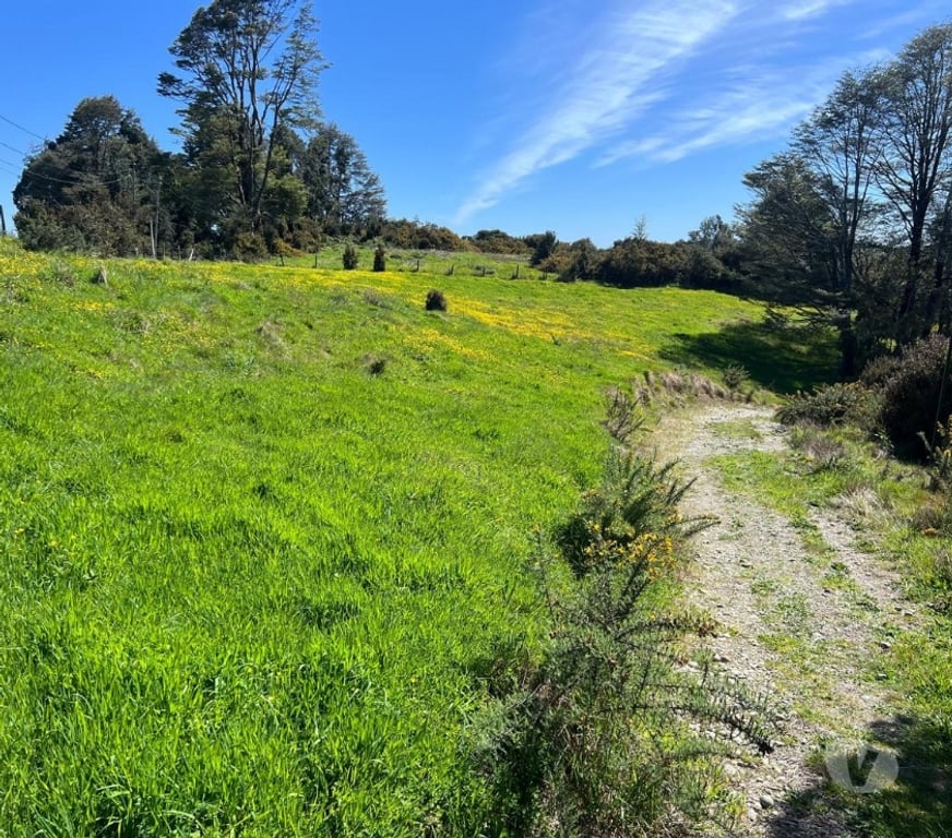 Parcelas en Venta Chiloé Ancud - Fotos de Venta de Parcelas en Chiloé