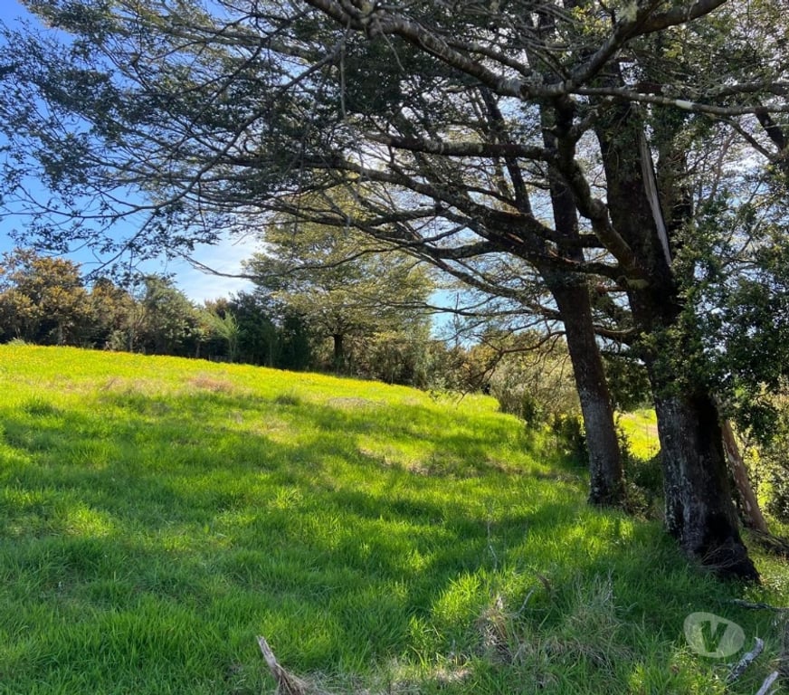 Parcelas en Venta Chiloé Ancud - Fotos de Venta de Parcelas en Chiloé
