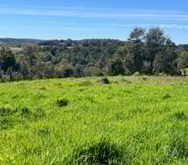 Venta de Parcelas en Chiloé