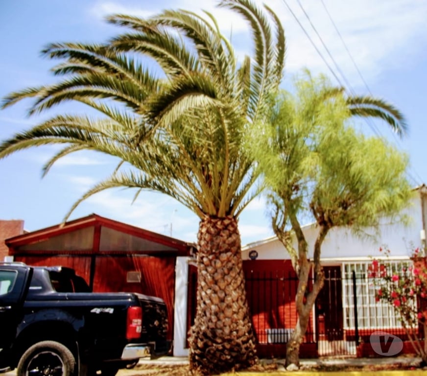 Bienes Raices Elqui Conquimbo - Fotos de 🏡 ¡SE VENDE HERMOSA CASA EN PUNTA MIRA NORTE, COQUIMBO!