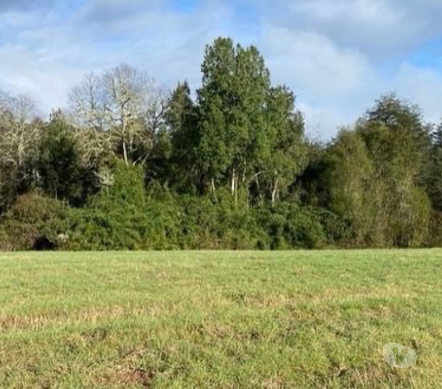 Parcelas en Venta Valdivia Valdivia - Fotos de ULTIMA PARACELA A SOLO 7 MINUTOS DE MAFIL