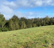 ULTIMA PARACELA A SOLO 7 MINUTOS DE MAFIL