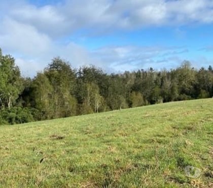 Parcelas Valdivia Valdivia - Fotos de ULTIMA PARACELA A SOLO 7 MINUTOS DE MAFIL