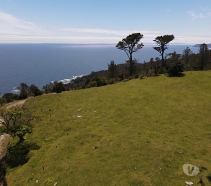 Parcelas Valdivia Valdivia - Fotos de HERMOSA PARCELA EN SECTOR COSTERO